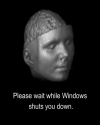 Please wait while Windows shuts you down